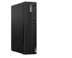 Lenovo ThinkCentre M75s Gen 5 AMD Ryzen 3 PRO 8300G, 16 GB DDR5, 256 GB SSD, WIN 11 Pro